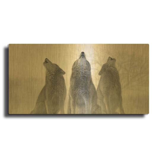 'Three Wolves Of The Mist' By Gordon Semmens Gold Metal Wall Art