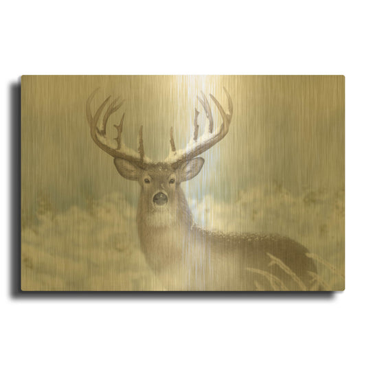 'Whitetail Winter Wonderland' By Gordon Semmens Gold Metal Wall Art