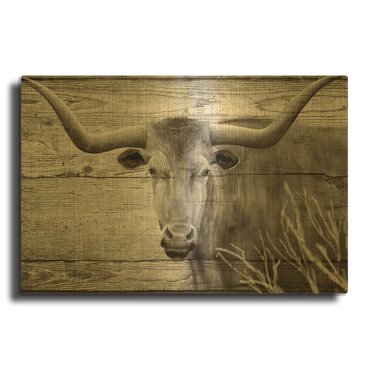 'Woodgrain Antiques 02' By Gordon Semmens Gold Metal Wall Art