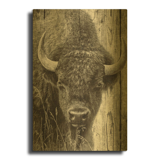 'Woodgrain Antiques 03' By Gordon Semmens Gold Metal Wall Art