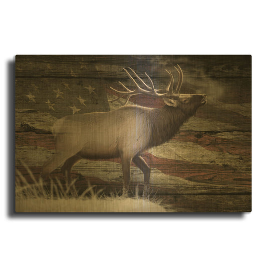 'Woodgrain Antiques American Elk' By Gordon Semmens Gold Metal Wall Art