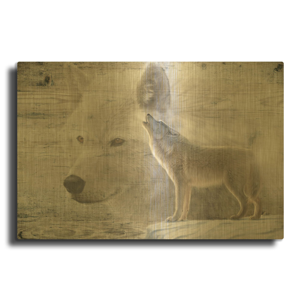'Woodgrain Antiques Arctic Wolf 2' By Gordon Semmens Gold Metal Wall Art
