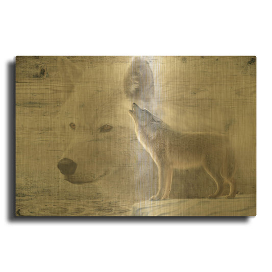 'Woodgrain Antiques Arctic Wolf 2' By Gordon Semmens Gold Metal Wall Art