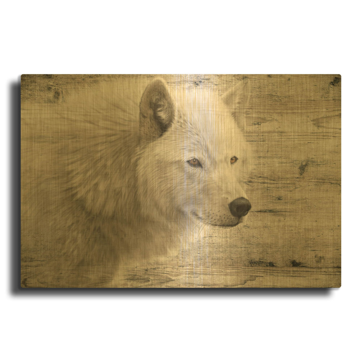 'Woodgrain Antiques Arctic Wolf' By Gordon Semmens Gold Metal Wall Art