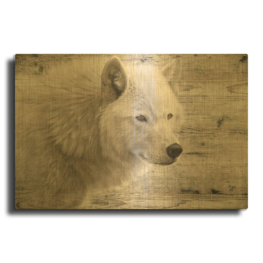 'Woodgrain Antiques Arctic Wolf' By Gordon Semmens Gold Metal Wall Art