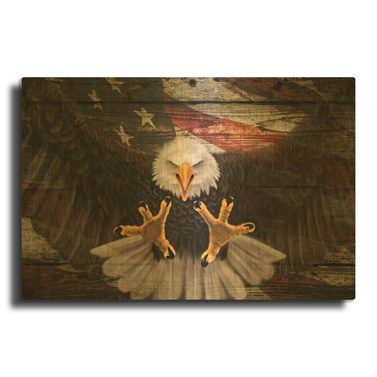 'Woodgrain Antiques Bald Eagle 2' By Gordon Semmens Gold Metal Wall Art