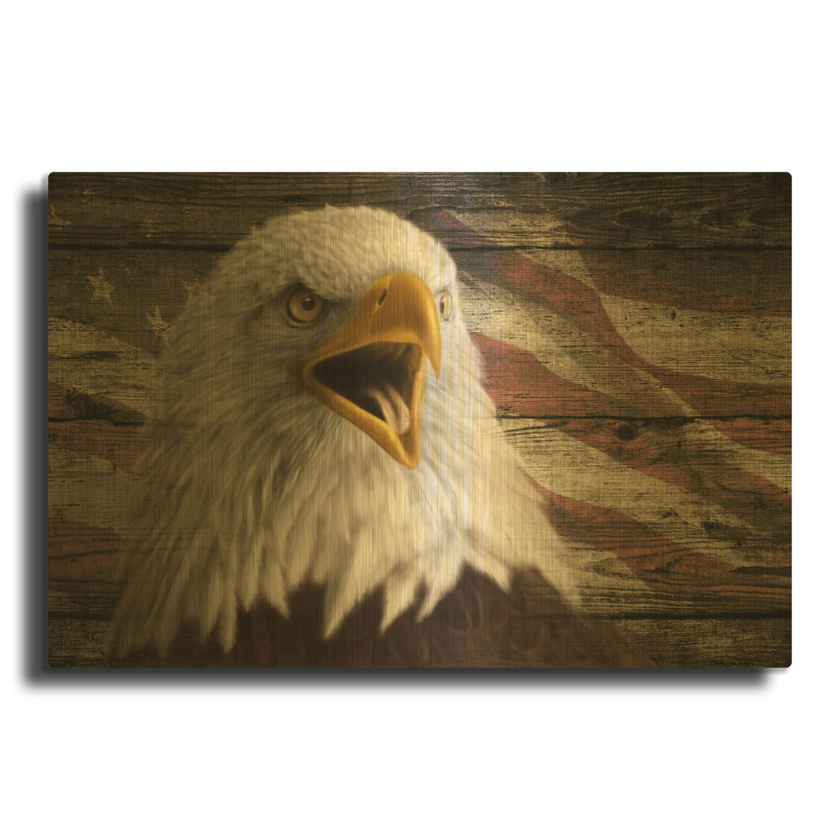 'Woodgrain Antiques Bald Eagle 3' By Gordon Semmens Gold Metal Wall Art