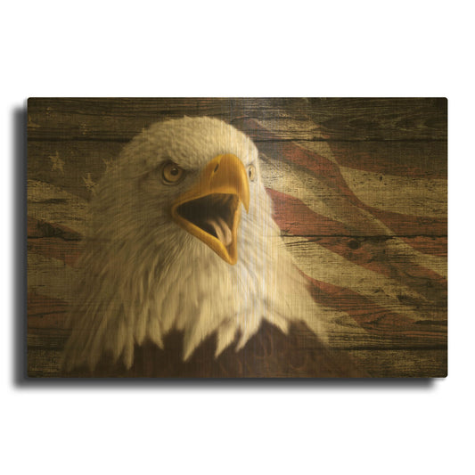 'Woodgrain Antiques Bald Eagle 3' By Gordon Semmens Gold Metal Wall Art