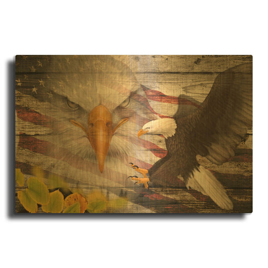 'Woodgrain Antiques Bald Eagle' By Gordon Semmens Gold Metal Wall Art