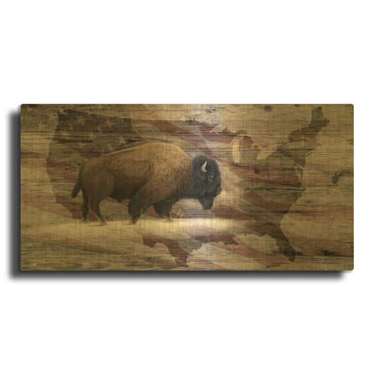 'Woodgrain Antiques Bison Usa' By Gordon Semmens Gold Metal Wall Art