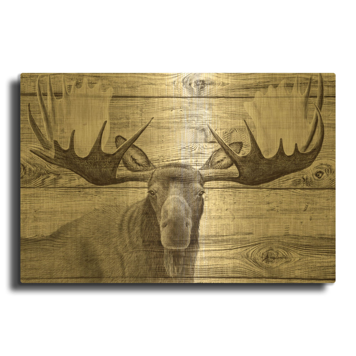 'Woodgrain Antiques Moose' By Gordon Semmens Gold Metal Wall Art