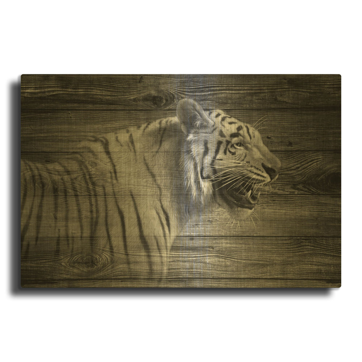 'Woodgrain Antiques Tiger 01' By Gordon Semmens Gold Metal Wall Art