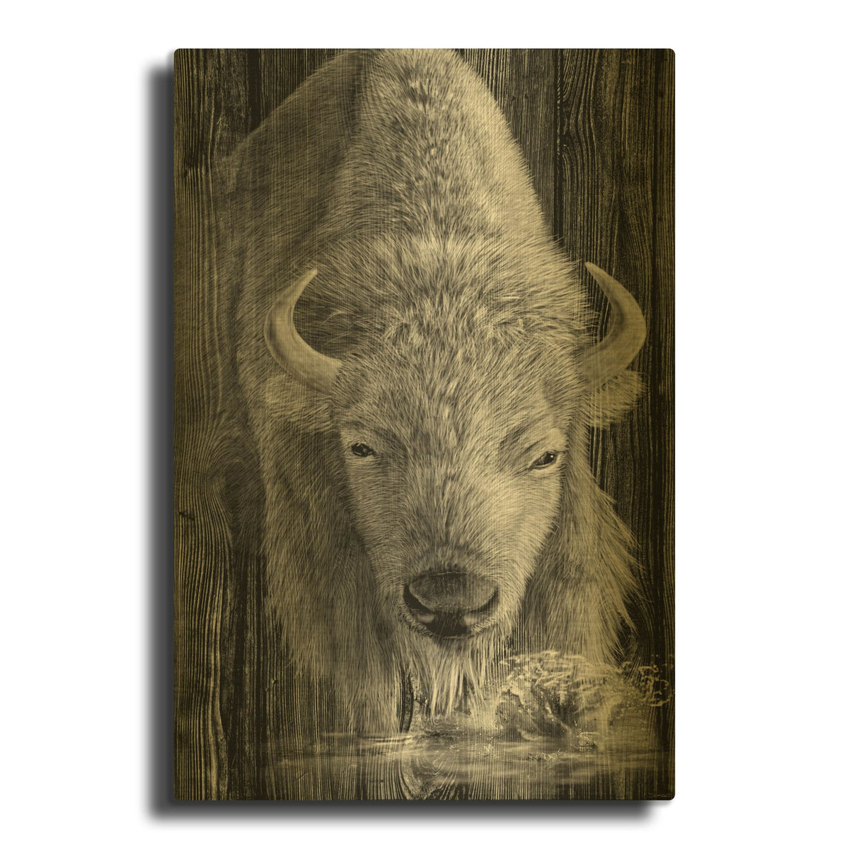 'Woodgrain Antiques White Buffalo' By Gordon Semmens Gold Metal Wall Art
