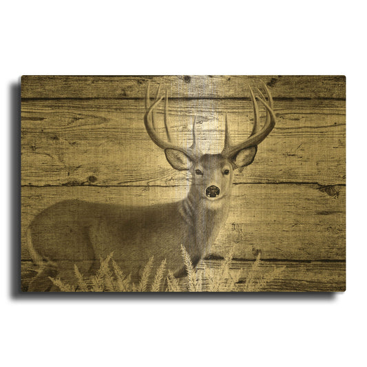 'Woodgrain Antiques Whitetail Buck 2' By Gordon Semmens Gold Metal Wall Art