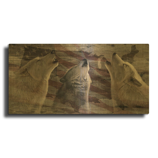 'Woodgrain Antiques Wolves Usa' By Gordon Semmens Gold Metal Wall Art