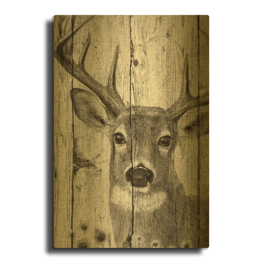 'Woodgrain Antiques-whitetail Buck' By Gordon Semmens Gold Metal Wall Art