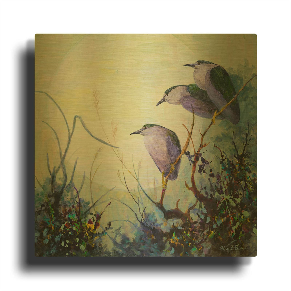 'Black-crowned Night-Herons' By Floy Zittin Gold Metal Wall Art