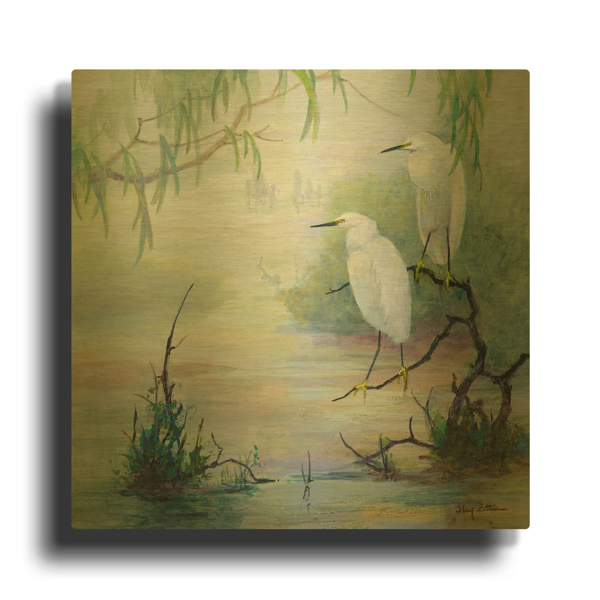 'Snowy Egrets in Wetlands' By Floy Zittin Gold Metal Wall Art