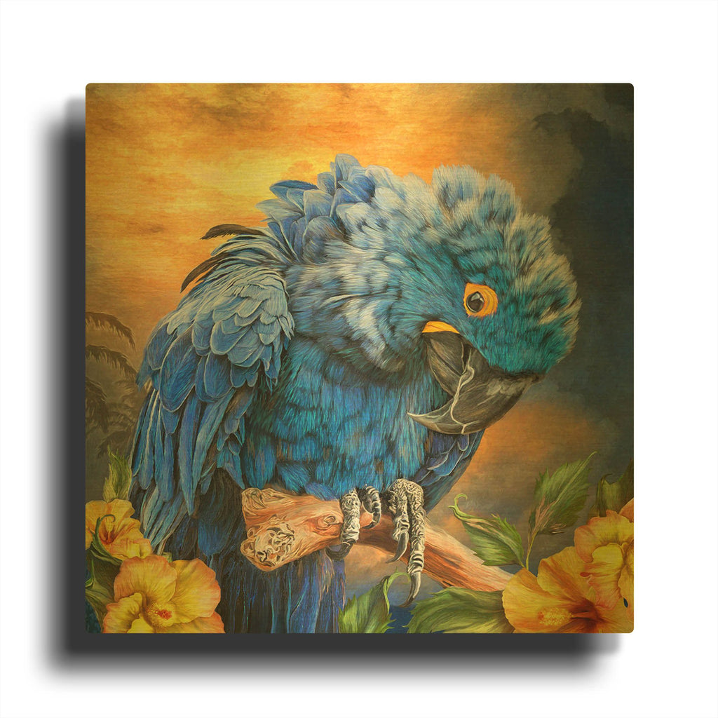 'Hyacinth In The Hibiscus' By Carol Cavalaris Gold Metal Wall Art