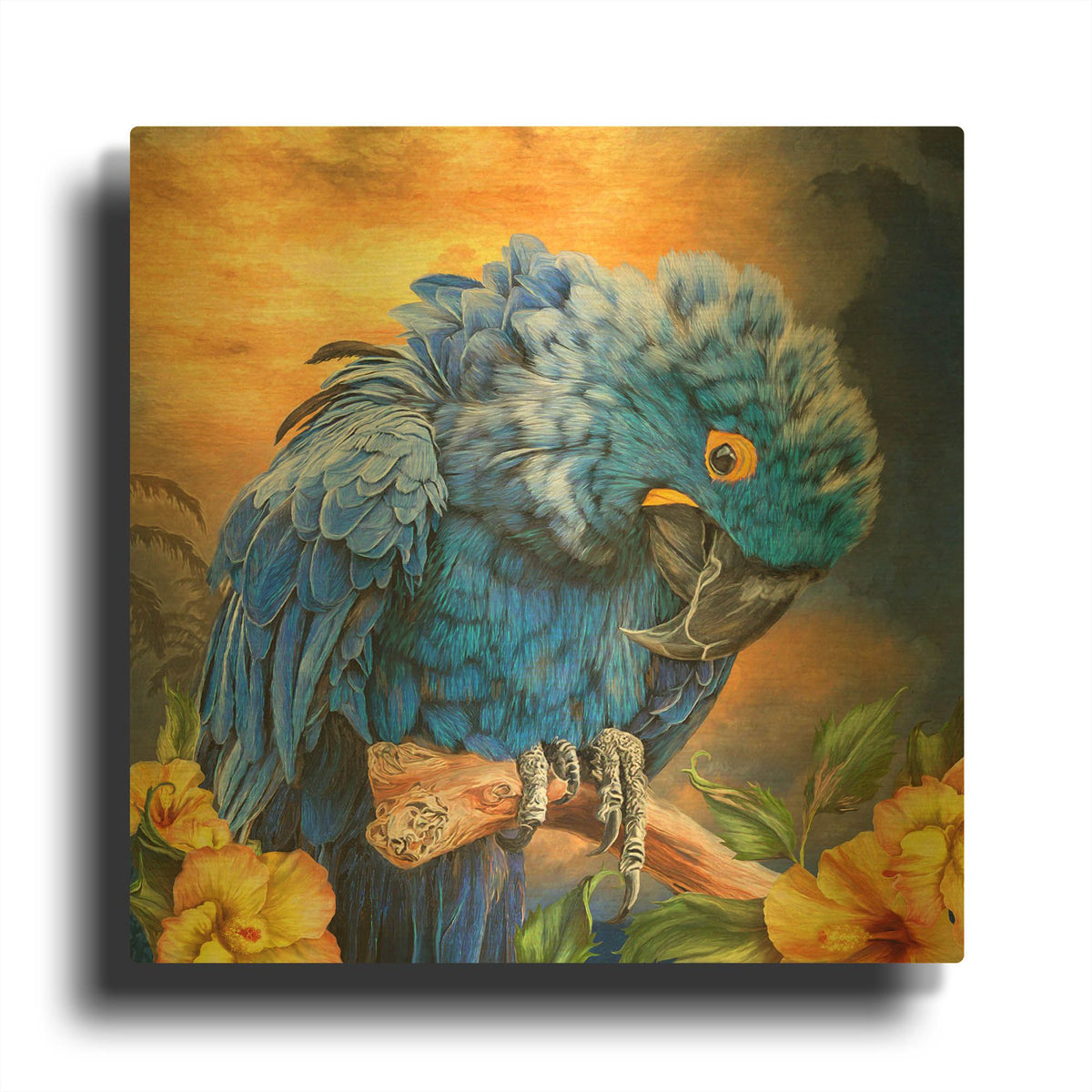 'Hyacinth In The Hibiscus' By Carol Cavalaris Gold Metal Wall Art