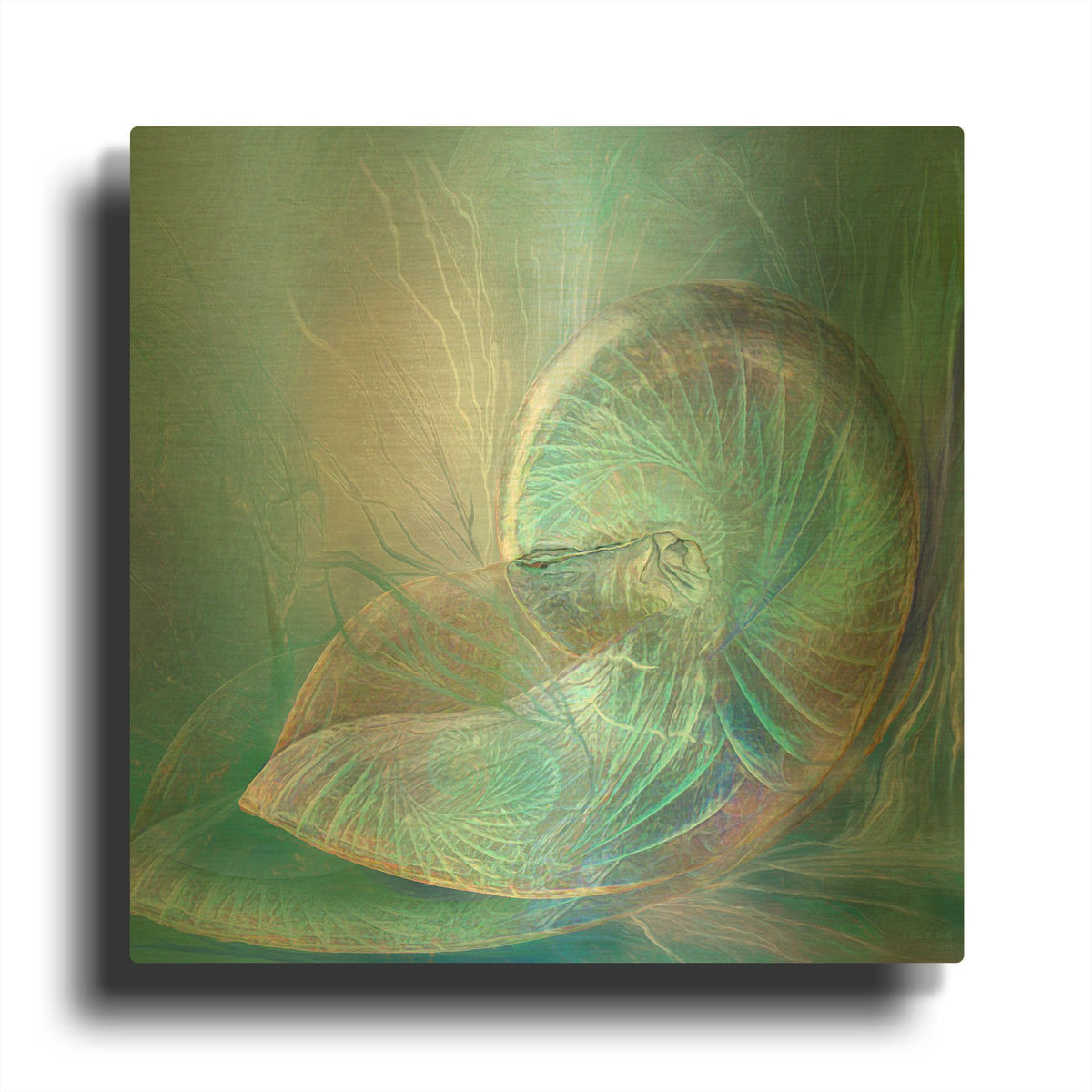 'I Am A Shell' By Carol Cavalaris Gold Metal Wall Art