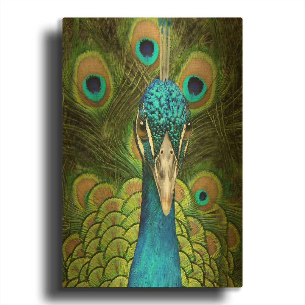 'Peacock Face Bf' By Carol Cavalaris Gold Metal Wall Art