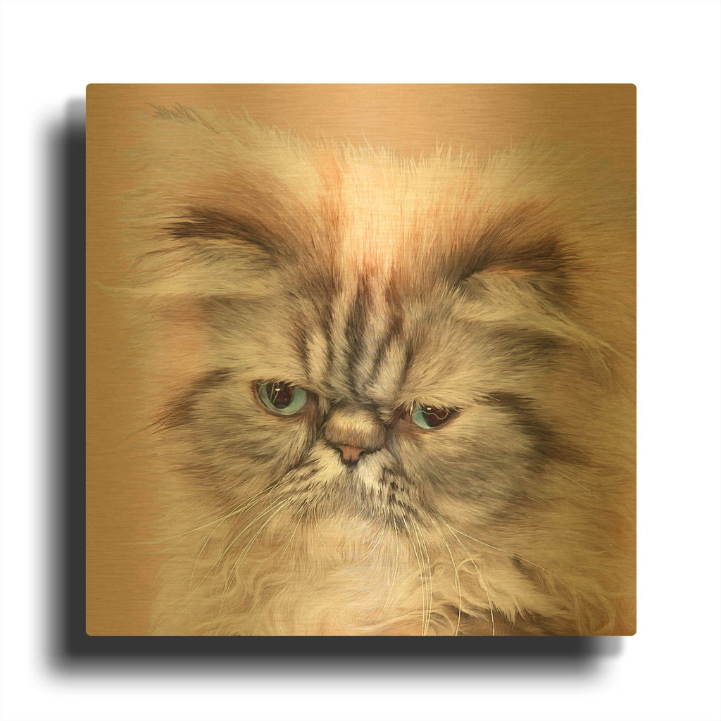 'Persian Cat Face Bf' By Carol Cavalaris Gold Metal Wall Art