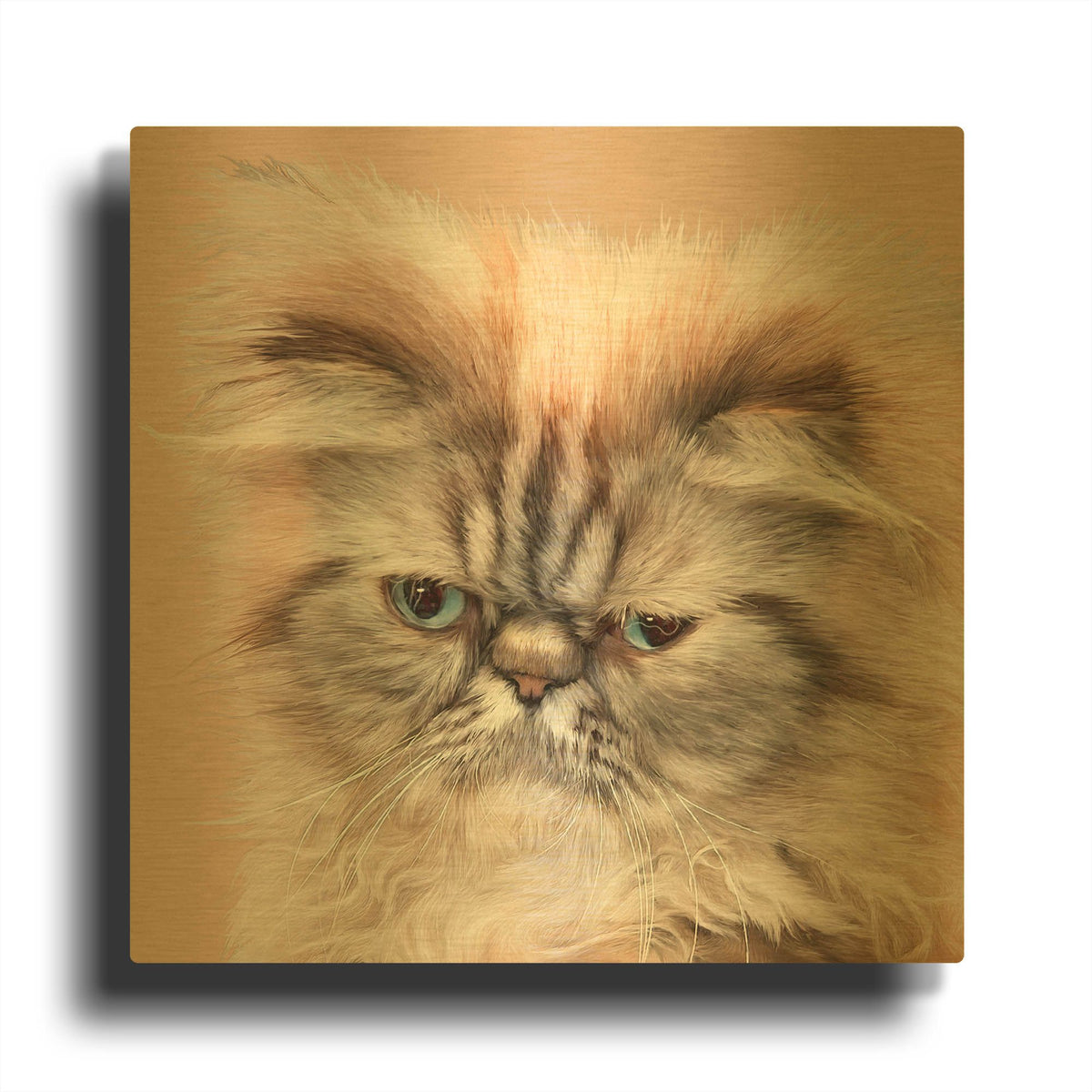 'Persian Cat Face Bf' By Carol Cavalaris Gold Metal Wall Art