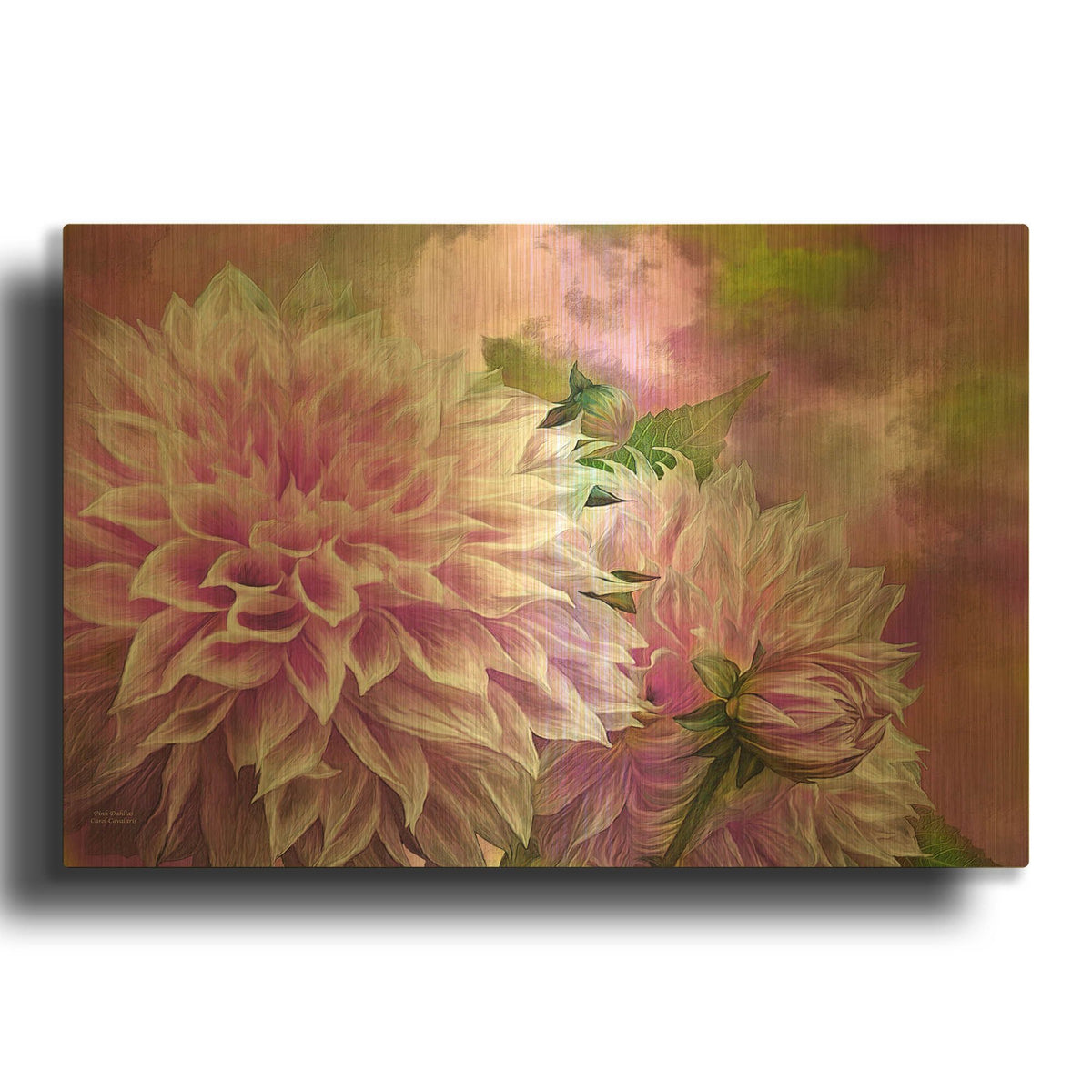 'Pink Dahlias' By Carol Cavalaris Gold Metal Wall Art