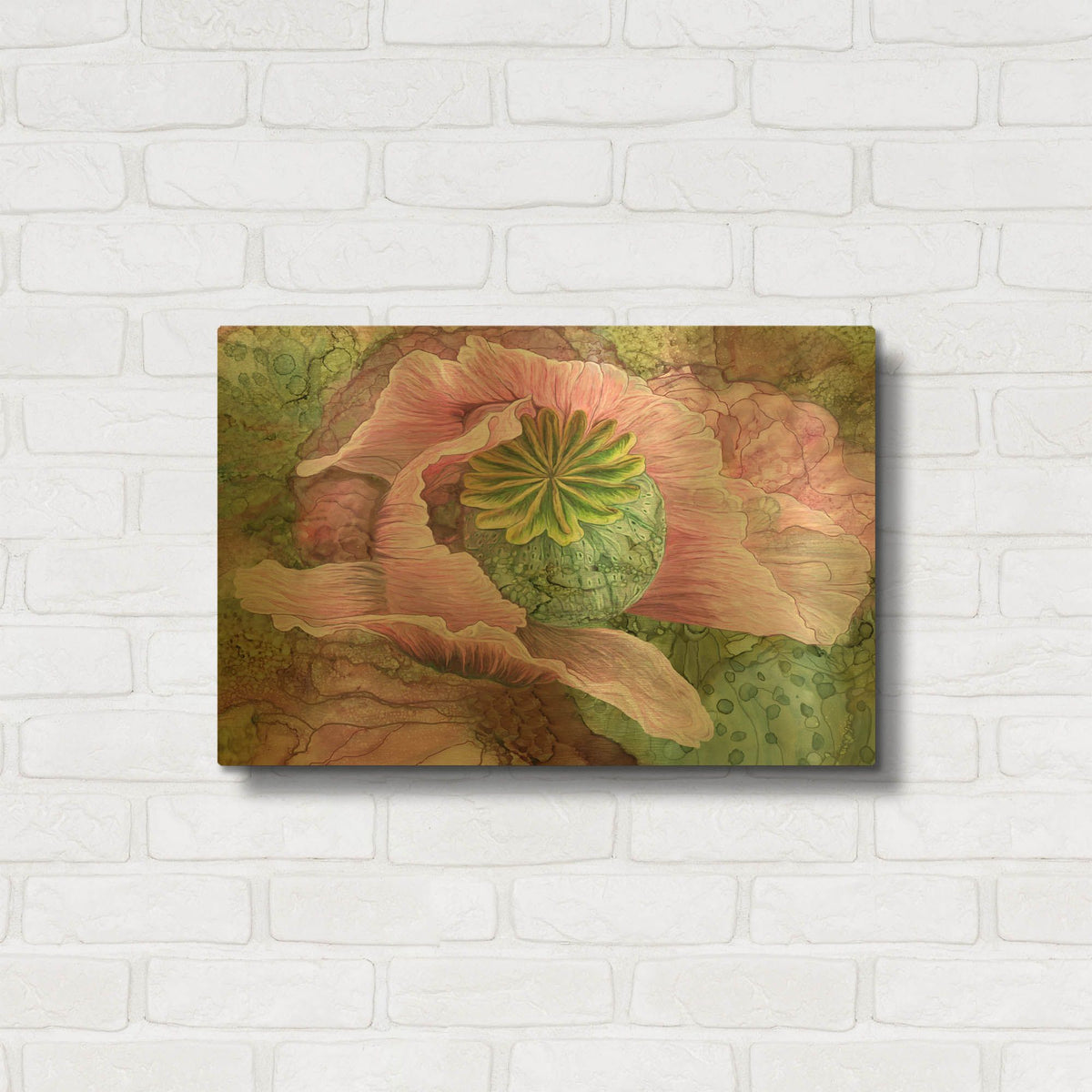 'Pink Poppy Organica' By Carol Cavalaris Gold Metal Wall Art