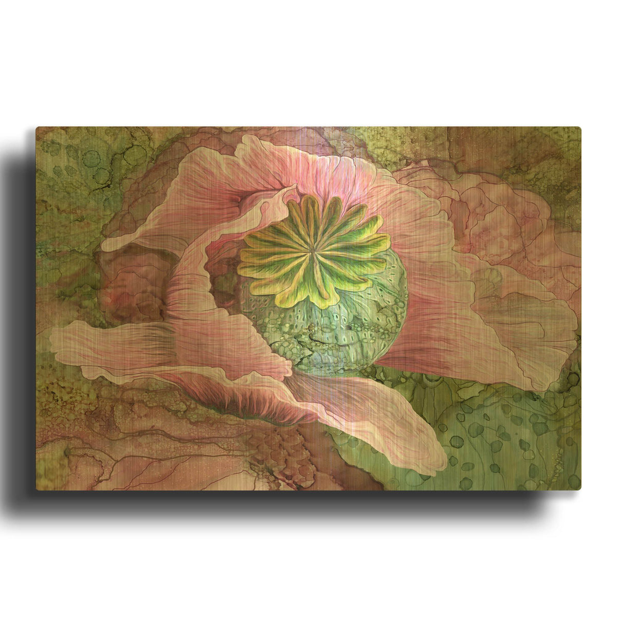 'Pink Poppy Organica' By Carol Cavalaris Gold Metal Wall Art