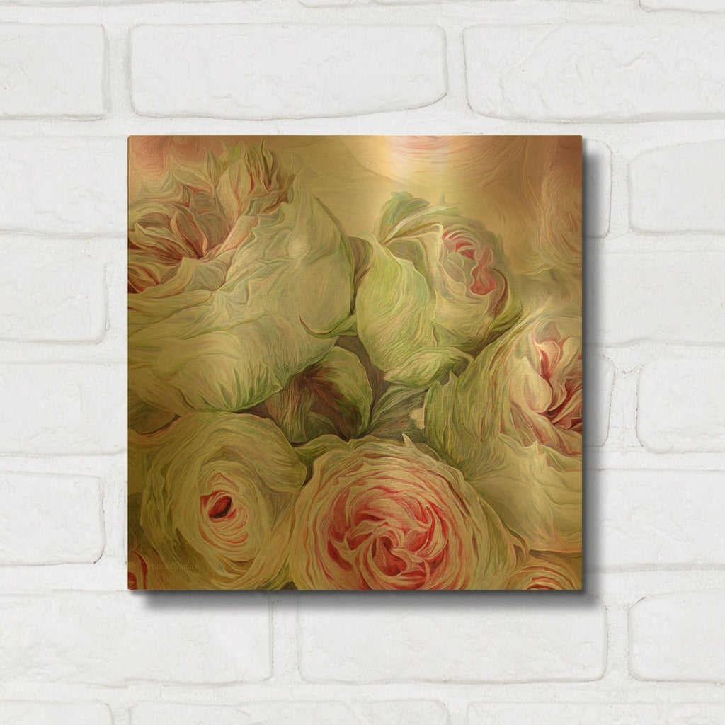 'Rose Moods - Harmony' By Carol Cavalaris Gold Metal Wall Art