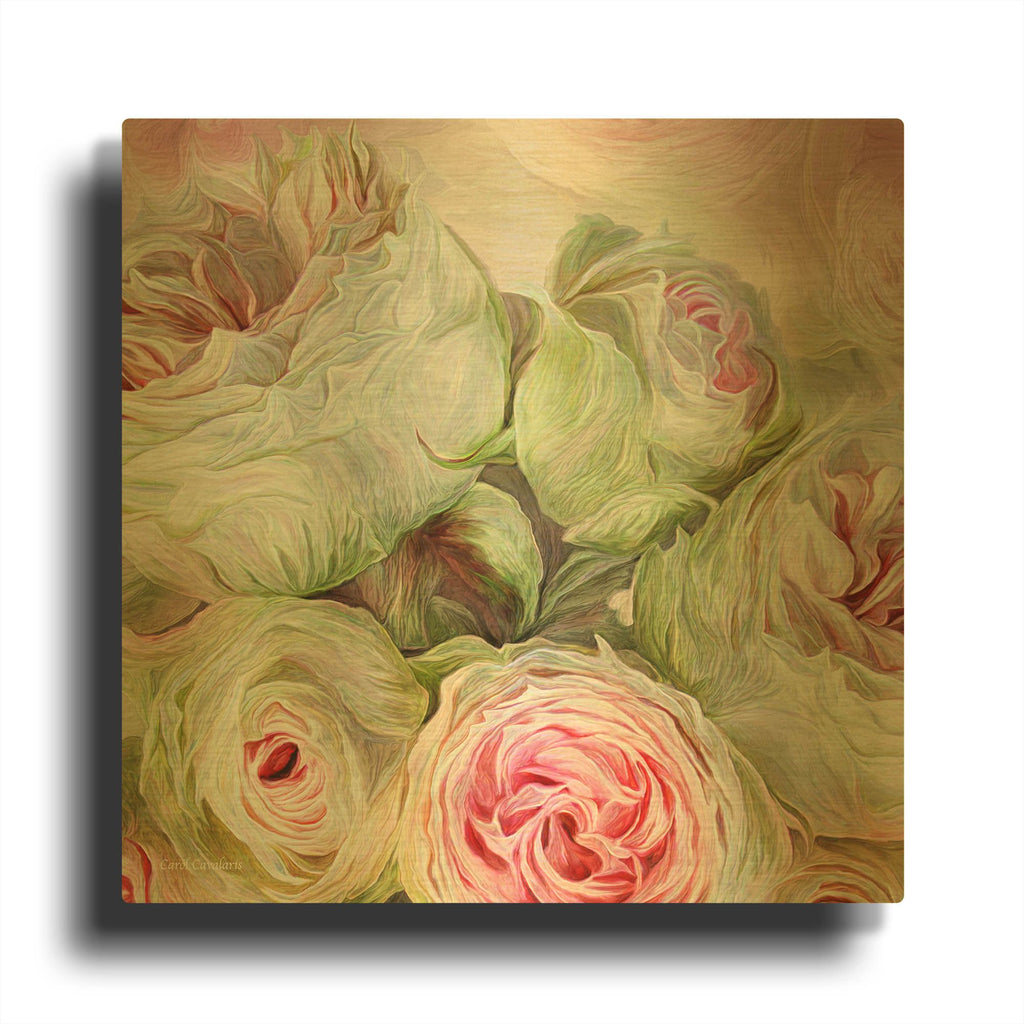 'Rose Moods - Harmony' By Carol Cavalaris Gold Metal Wall Art