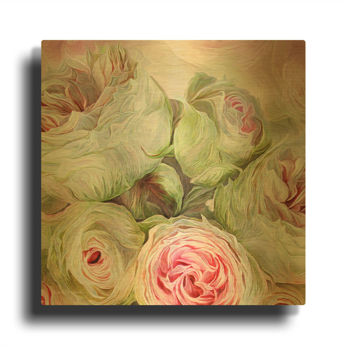 'Rose Moods - Harmony' By Carol Cavalaris Gold Metal Wall Art