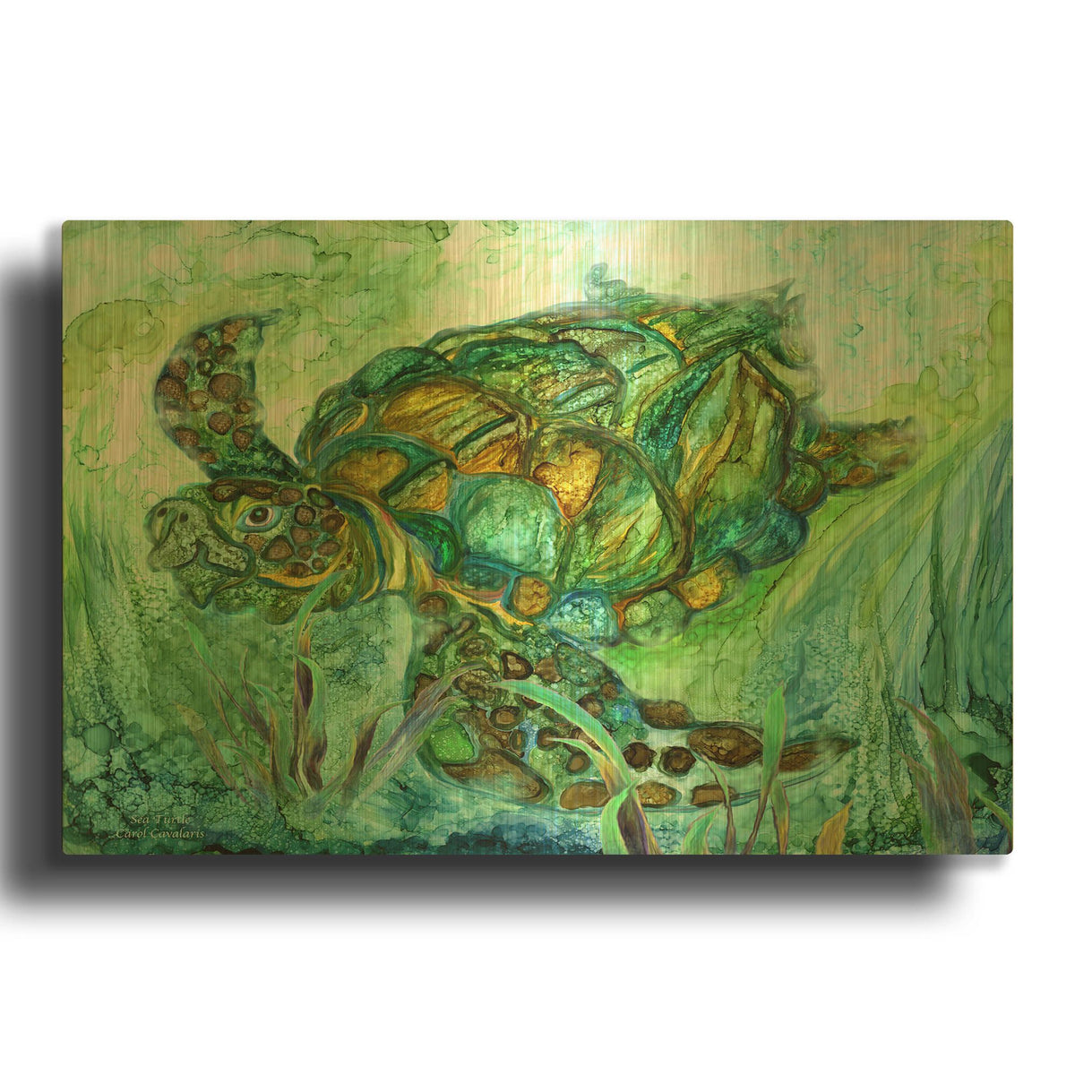 'Sea Turtle - Spirit Of Peace' By Carol Cavalaris Gold Metal Wall Art