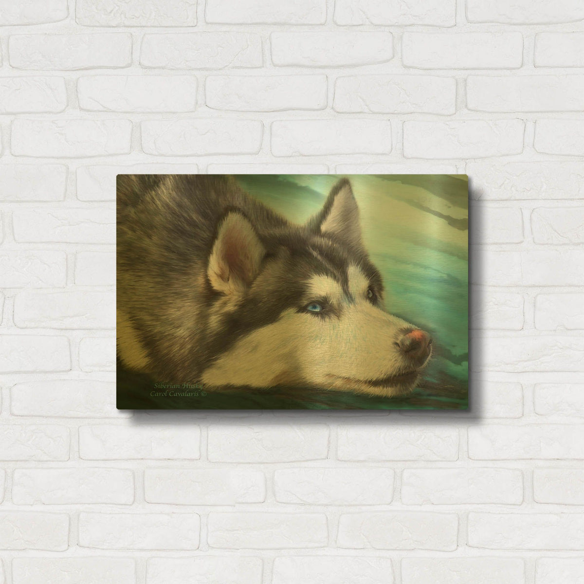 'Siberian Husky' By Carol Cavalaris Gold Metal Wall Art
