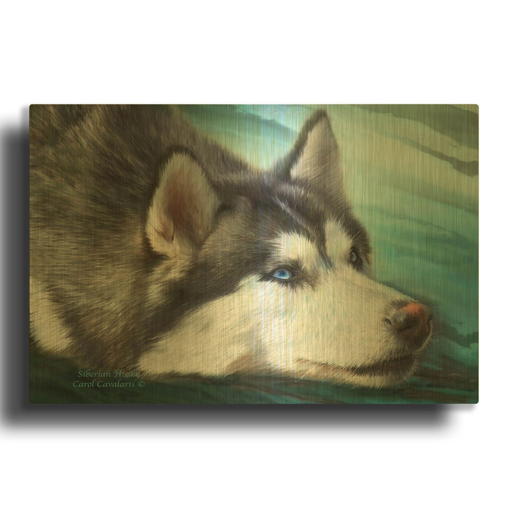 'Siberian Husky' By Carol Cavalaris Gold Metal Wall Art