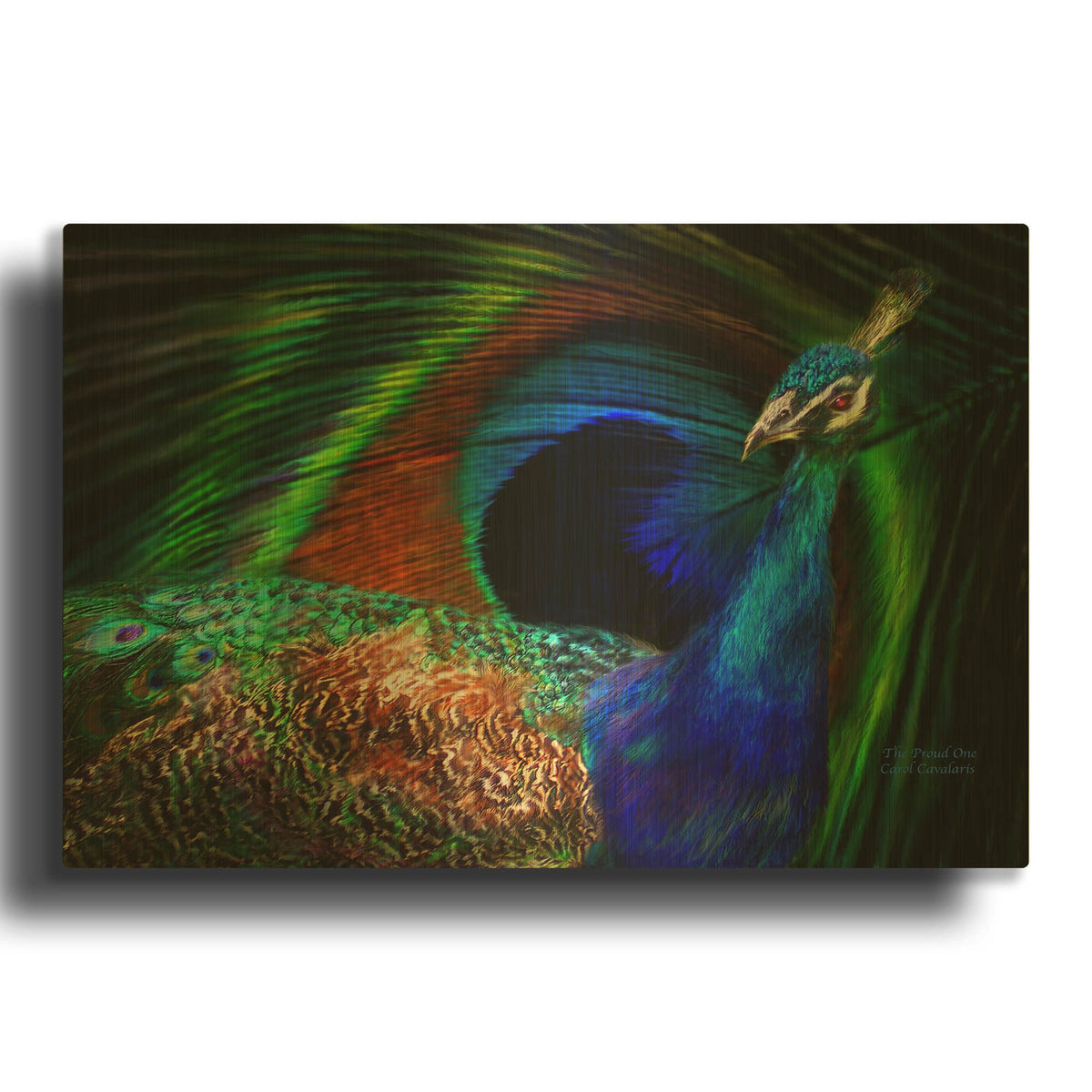 'The Proud One' By Carol Cavalaris Gold Metal Wall Art