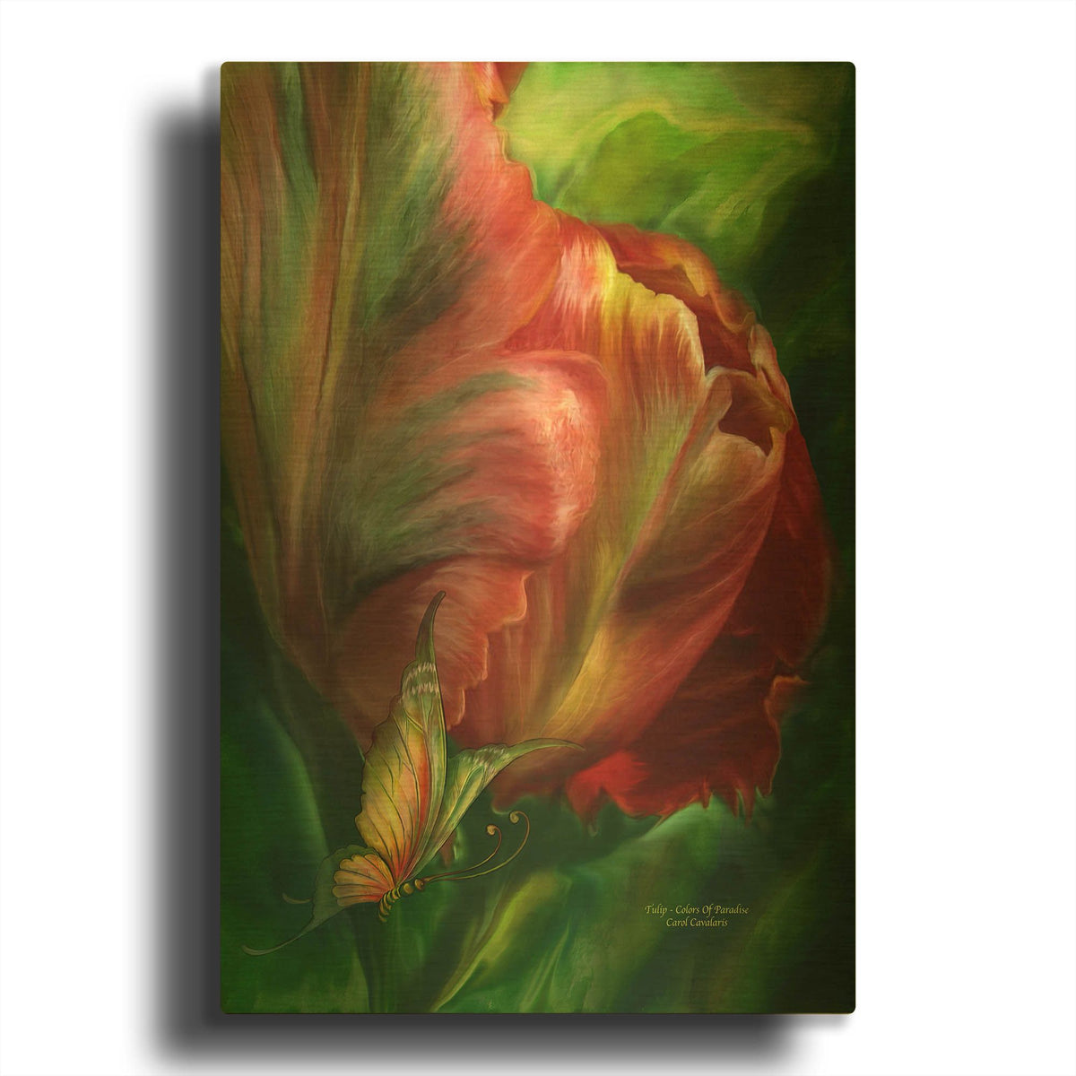 'Tulips 2 - Colors Of Paradise' By Carol Cavalaris Gold Metal Wall Art