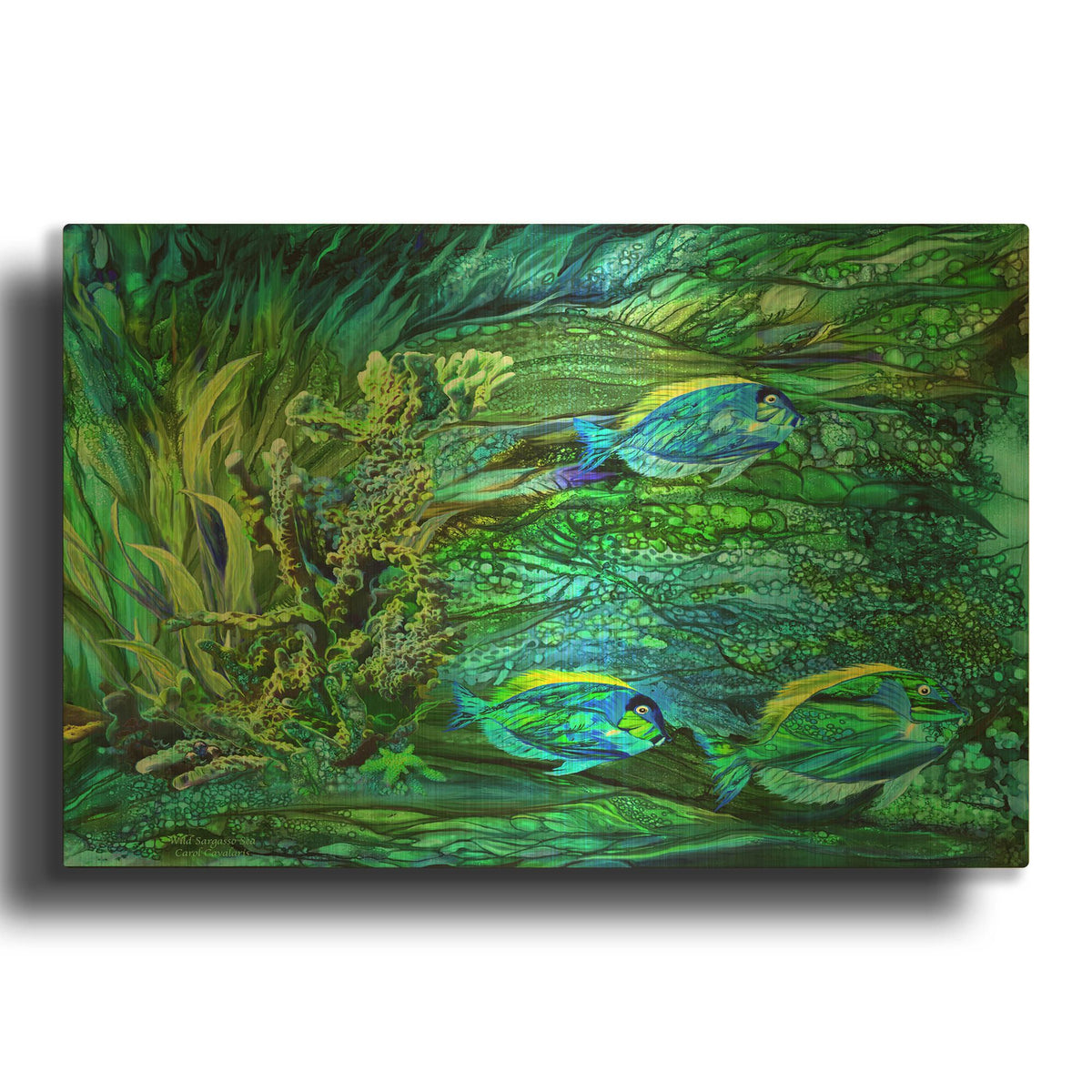 'Wild Sargasso Sea' By Carol Cavalaris Gold Metal Wall Art
