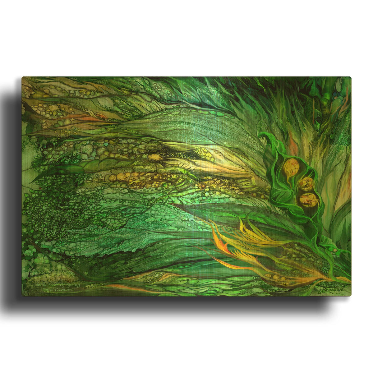 'Wild Seeds Spring' By Carol Cavalaris Gold Metal Wall Art