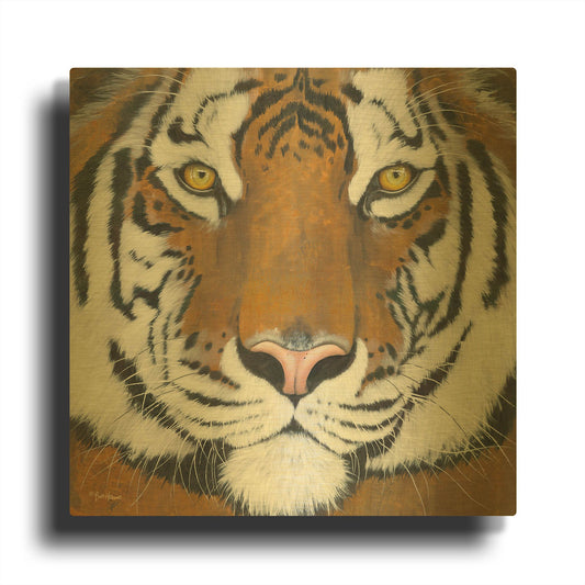 'Tiger Gaze' By Britt Hallowell Gold Metal Wall Art