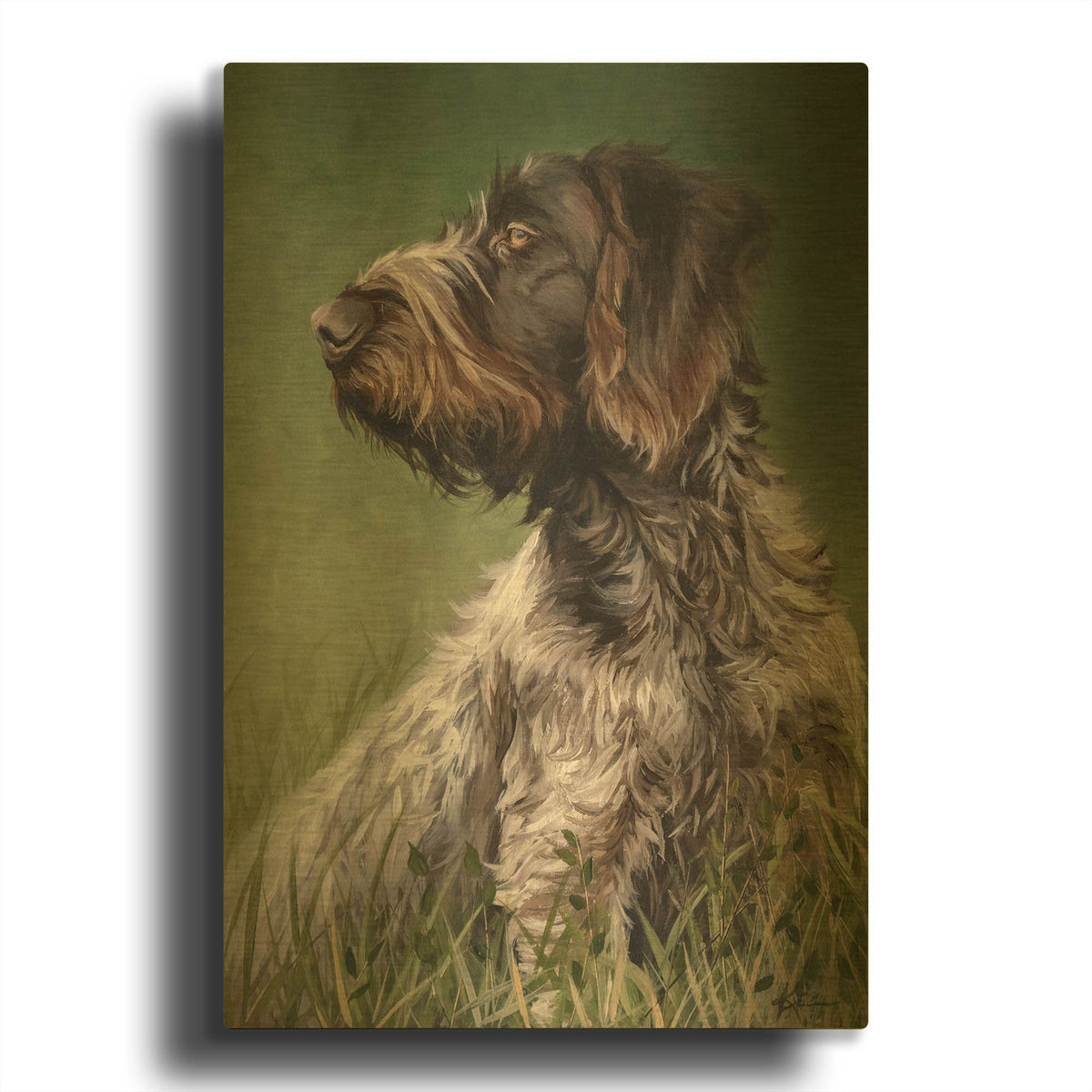'Dogs German Wirehaired Pointer' By Lindsay Kivi Gold Metal Wall Art