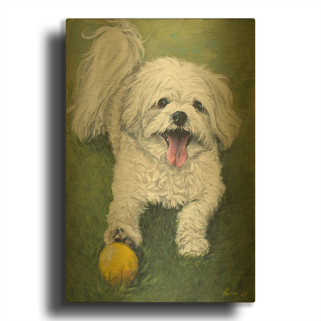'Dogs Shichon' By Lindsay Kivi Gold Metal Wall Art