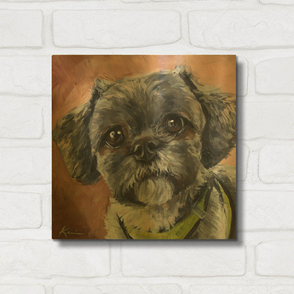 'Dogs Shih Tzu' By Lindsay Kivi Gold Metal Wall Art