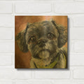 'Dogs Shih Tzu' By Lindsay Kivi Gold Metal Wall Art