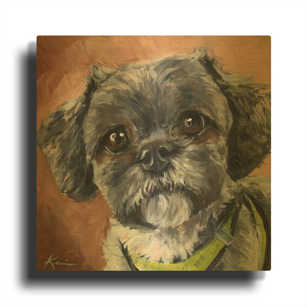 'Dogs Shih Tzu' By Lindsay Kivi Gold Metal Wall Art