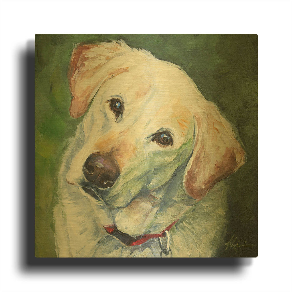 'Dogs Yellow Lab' By Lindsay Kivi Gold Metal Wall Art