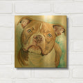 'Must Love Dogs American Pit Bull' By Lindsay Kivi Gold Metal Wall Art
