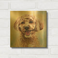 'Must Love Dogs Cavapoo' By Lindsay Kivi Gold Metal Wall Art